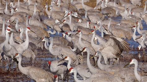 256 X 256 Photos, Download The BEST Free 256 X 256 Stock Photos & HD Images