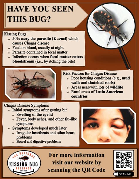 Understanding Kissing Bugs - Kissing Bug Alliance