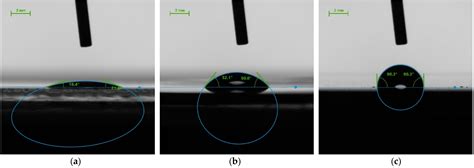 Evaluation of the Efficacy of UV-C Radiation in Eliminating ...