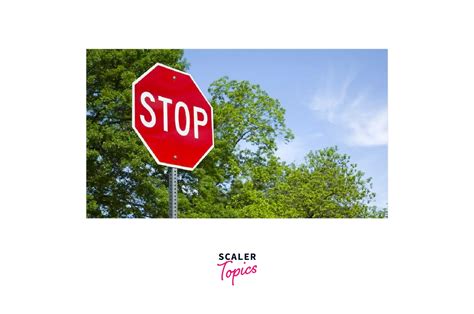 OpenCV Object Detection Tutorial 的图像结果