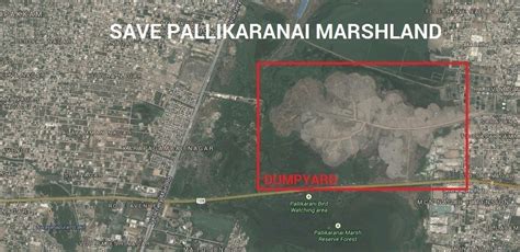 Petition · Save Pallikaranai Marshland from Pollution · Change.org
