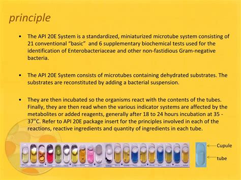 Image result for API Identification Bacteria Expensive