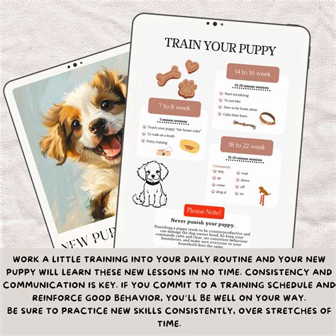 Puppy Guide 101