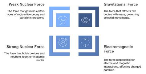 Fundamental Forces in Nature - Physics Class 11 - NEET PDF Download