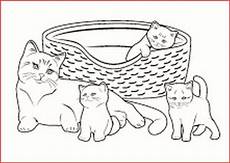 katzenbabys ausmalbilder ausmalbilder katzenbabys rooms project katzenbabys ausmalbilder ausmalbilder katzenbabys rooms project
