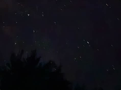 Tappan Lake Park Campground | Deersville, OH