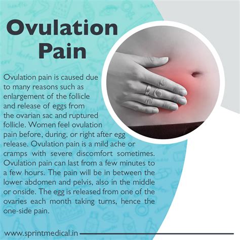 Home - Ovulation And Pregnancy