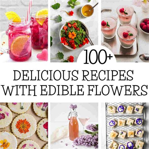 Flowers we Eat: 100+ Delicious Recipes Using Edible Flowers - SimplyBeyondHerbs