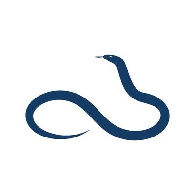 Image result for Python Snake Programming Logo