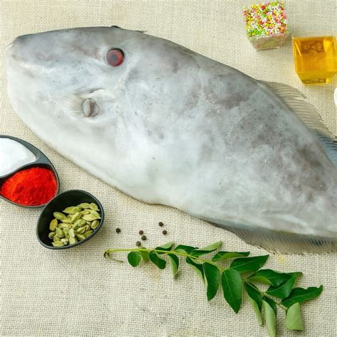 Buy Fresh Dyna/Leather Skin Fish Online | Daily Fresh Seafood – Nuste.in