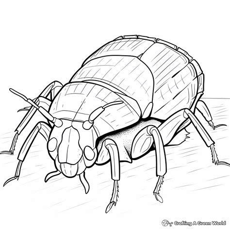 Stink Bug Coloring Pages - Free & Printable!