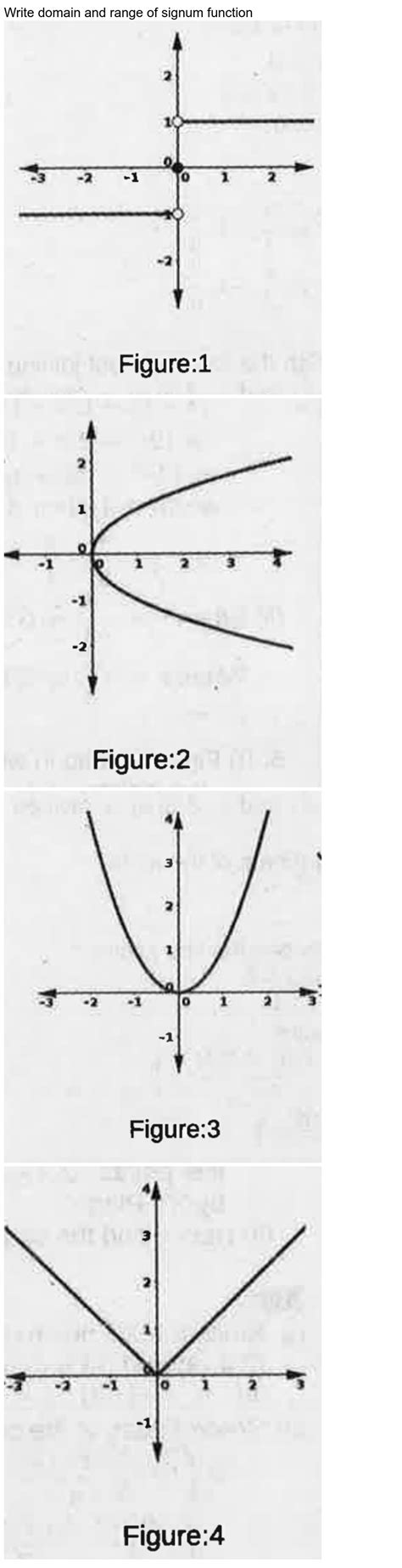 Image result for Signum Function Graph