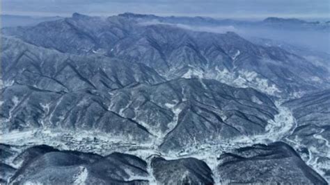 Rastuća populacija leoparda u severnoj Kini odražava uspeh u zaštiti ...
