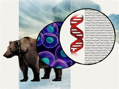 Tree of Life Evolution 的图像结果