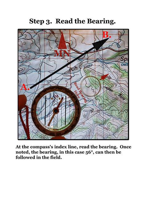 Image result for Compass Basics For Dummies