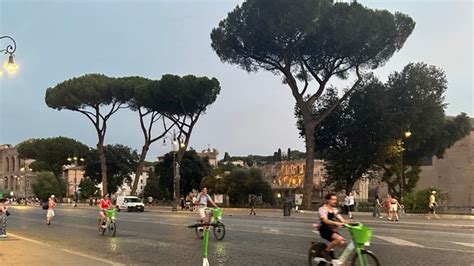Why Rome Is Cutting Down Pine Trees Along Via Dei Fori Imperiali?
