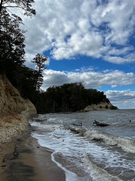 FIRST DAY HIKES! Fossil Quest - Meet at Big Meadow Trailhead ...