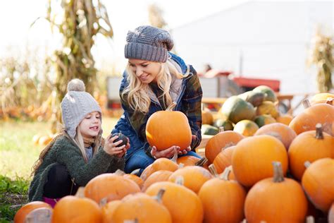 Here Are Five Pumpkin Patches To Visit In The St. Louis Area | iHeart
