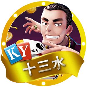 十三水