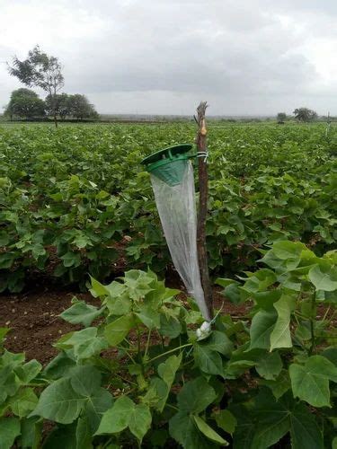 Pheromone Trap - Fruit Fly Pheromone Trap for Agriculture purpose only ...