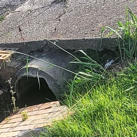 HARVEST-MONROVIA WATER AUTHORITY - Harvest AL - Hours, Directions ...