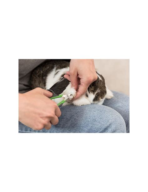 TRIXIE Nail Clippers for Rodents - Precise and Ergonomic