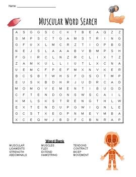Image result for Muscle Word Search Printable
