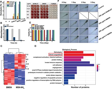 Image result for Nanoparticles Biocompatibility