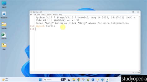 Image result for Install Turtle Python