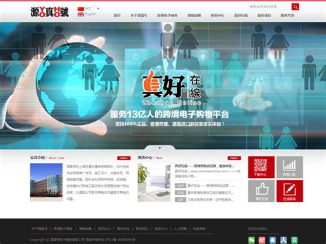 源真号电子商贸有限公司官网设计-上海润滋网站制作公司