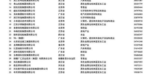 2019年民营企业排行榜_2019年广西民营企业100强排行榜_排行榜