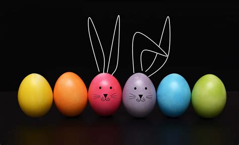 Download Funny Easter Bunny Eggs Picture | Wallpapers.com