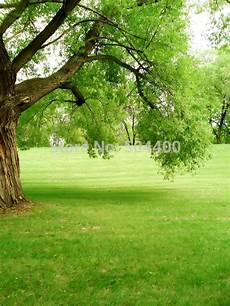 Tree Photography Backdrop by 5x10ft Flowers Photo Background Trees Garden Loft Wedding Tree Photography Backdrop