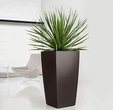 vasi arredo interni vasi interno vasi e fioriere vasi arredo interni vasi interno vasi e fioriere