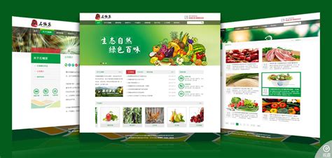 石桶寨/伊人谷_重庆石桶寨农业开发有限公司网站设计与开发