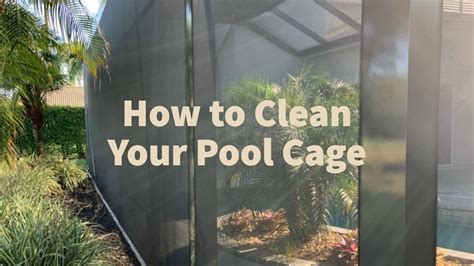 Image result for Clean Screen Enclosure for Pool