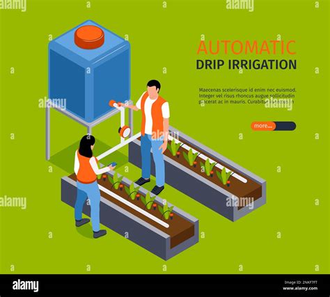 Automatic drip irrigation banner depicting watering system for seedlings isometric vector ...