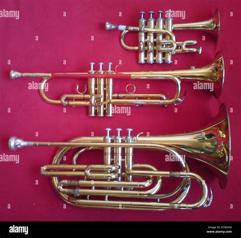This image showcases three different types of trumpets: the bass ...