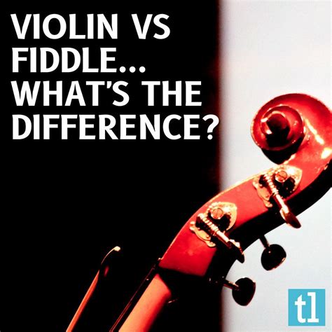 Fiddle vs violin which instrument is suitable for you 2022 – Artofit