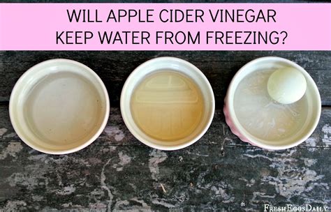 Does Apple Cider Vinegar Keep Water from Freezing? - Fresh Eggs Daily ...