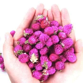 Golden Hills Farm Vadamalli Gomphrena Flower 70-200 seeds : Amazon.in ...