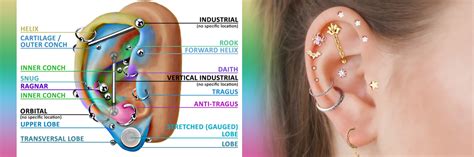Image result for Piercing Guide Plate