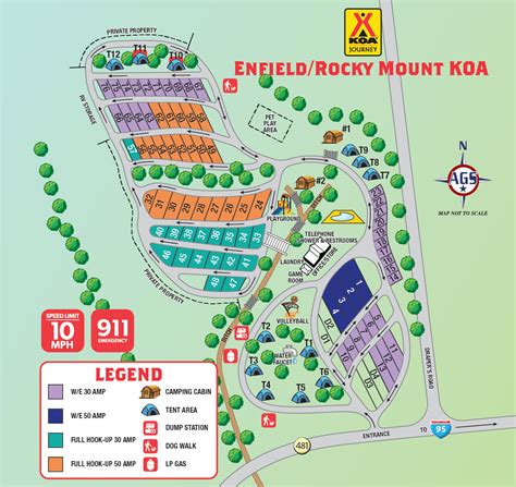 Smoothies Rocky Mount Nc at Glenda Macon blog