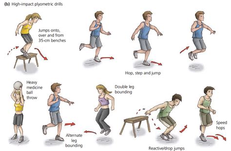 Plyometric Exercise Routine 的图像结果