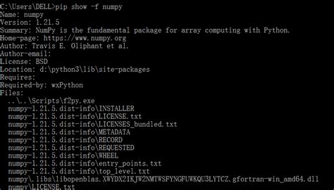 Image result for Python-Pip Hacks