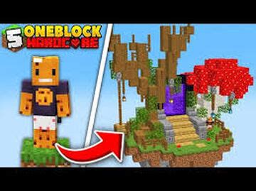 Image result for One Block Java