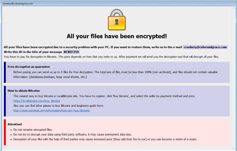 Image result for Java Virus