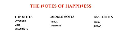 ATIMODA Goa Luxury Unisex Eau de Parfum (EDP) - 90ml | Long Lasting ...