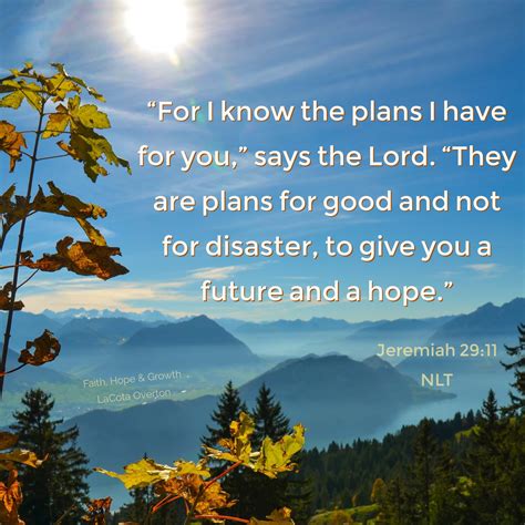 Jeremiah 29 11 Meaning In Life at Carolann Ness blog