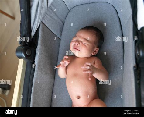 2 week old baby in bassinet Stock Photo - Alamy